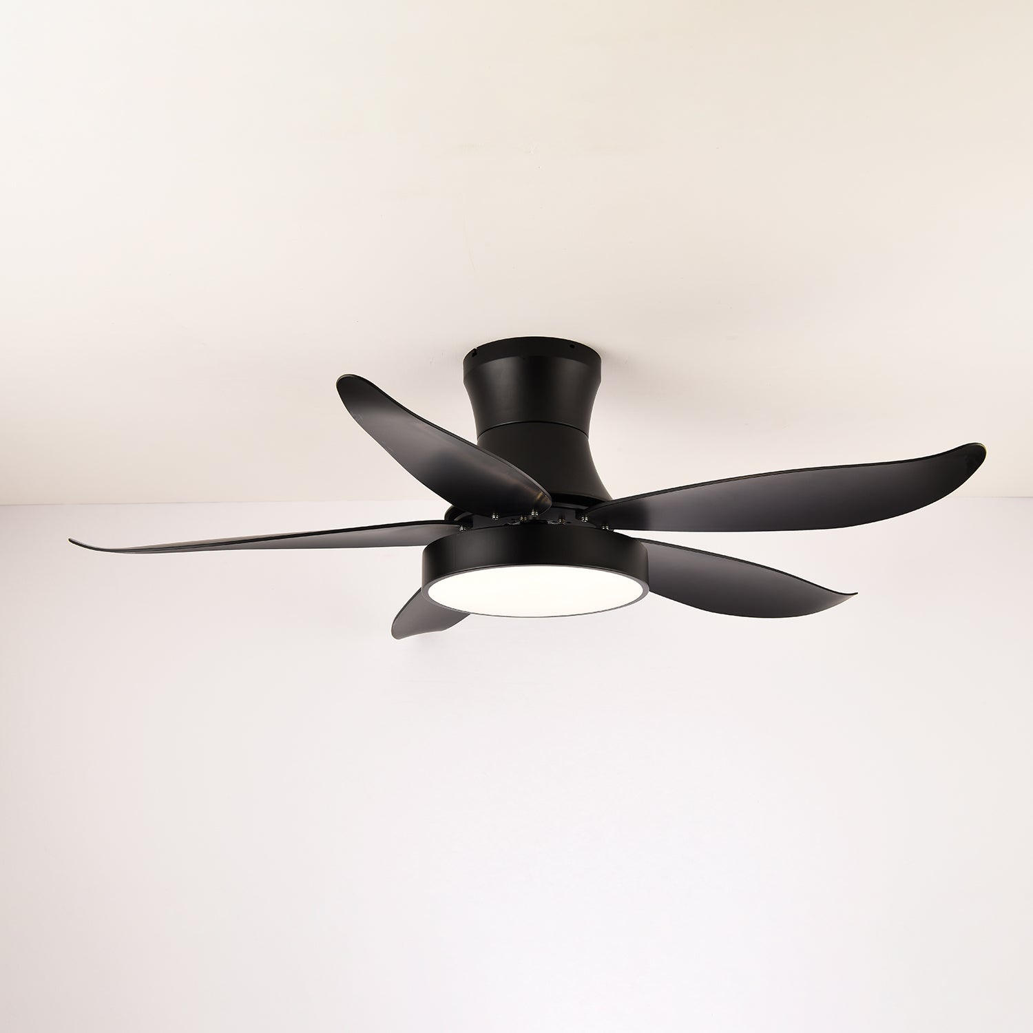 Aveline Modern Black Ceiling Fan Light - Blowlighting