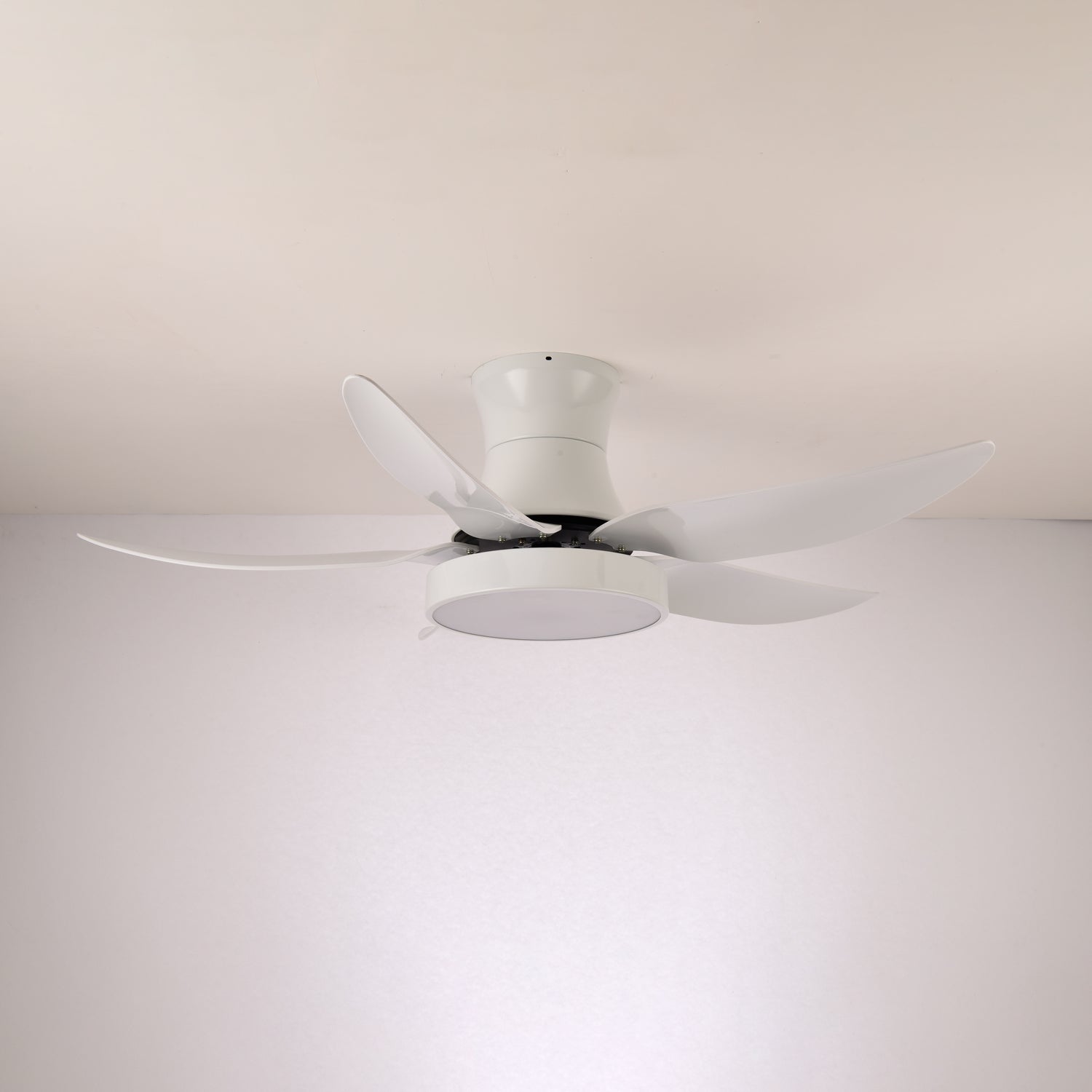 Aveline Modern Black Ceiling Fan Light - Blowlighting