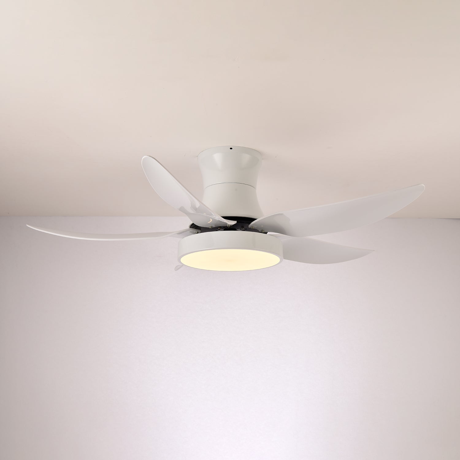 Aveline Modern Black Ceiling Fan Light - Blowlighting