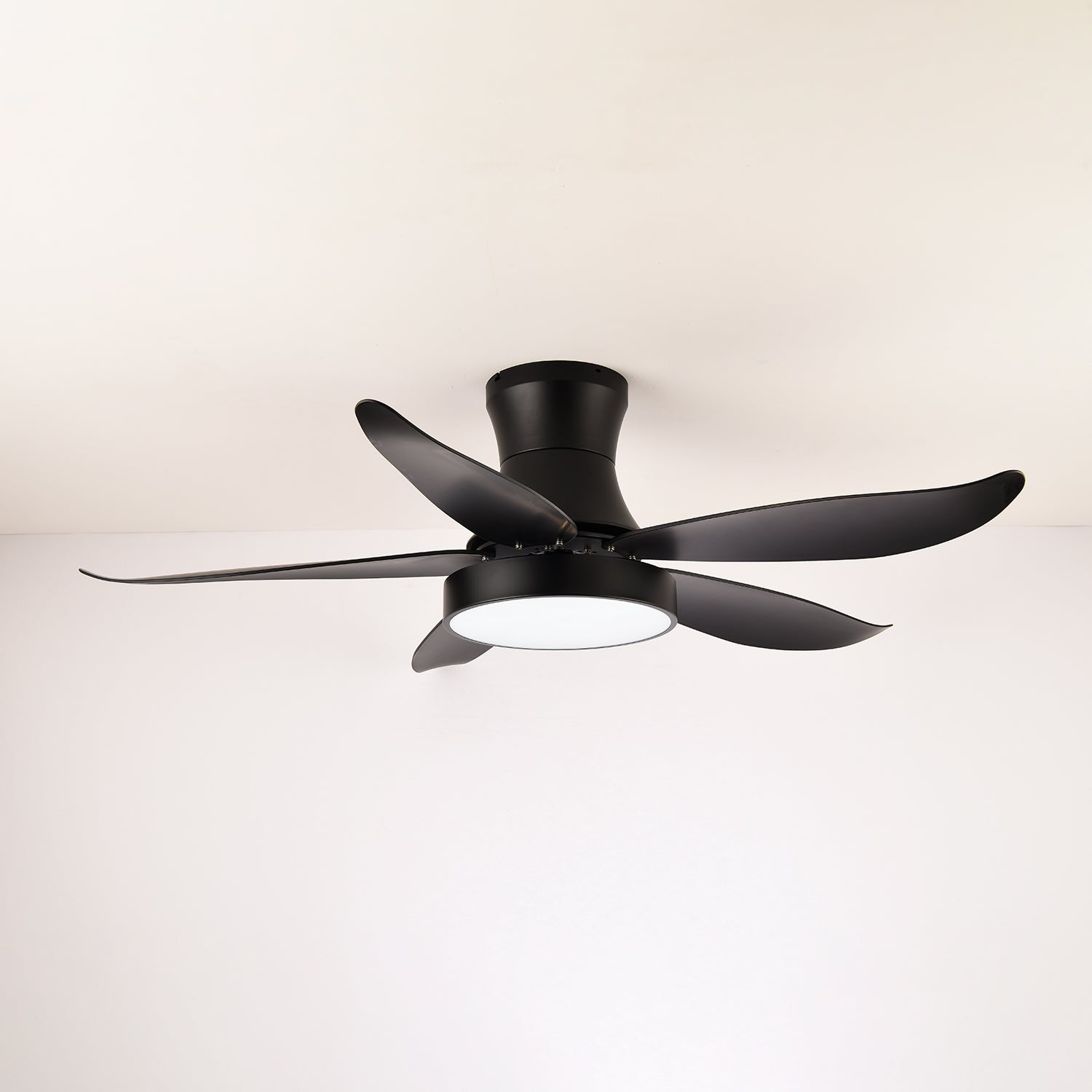 Aveline Modern Black Ceiling Fan Light - Blowlighting