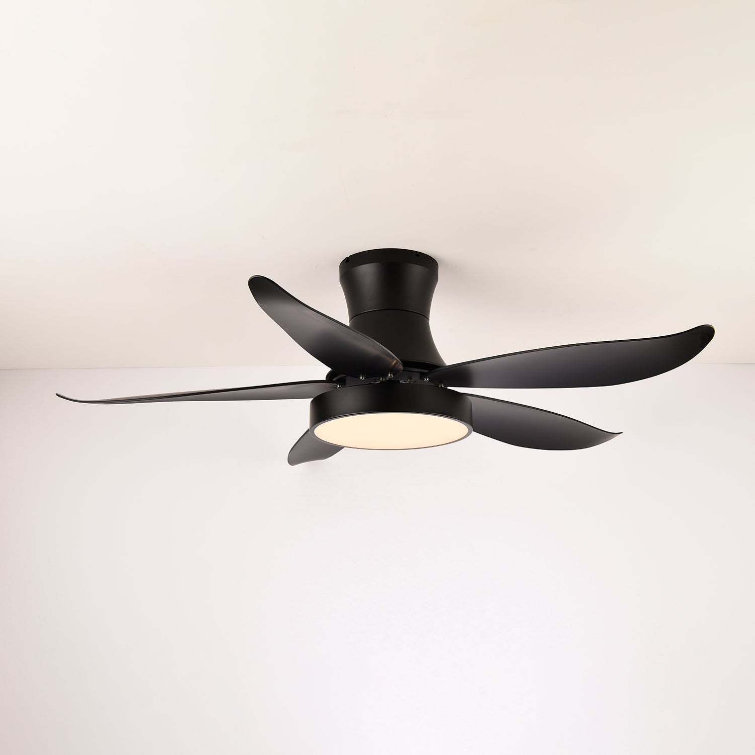 Aveline Modern Black Ceiling Fan Light - Blowlighting