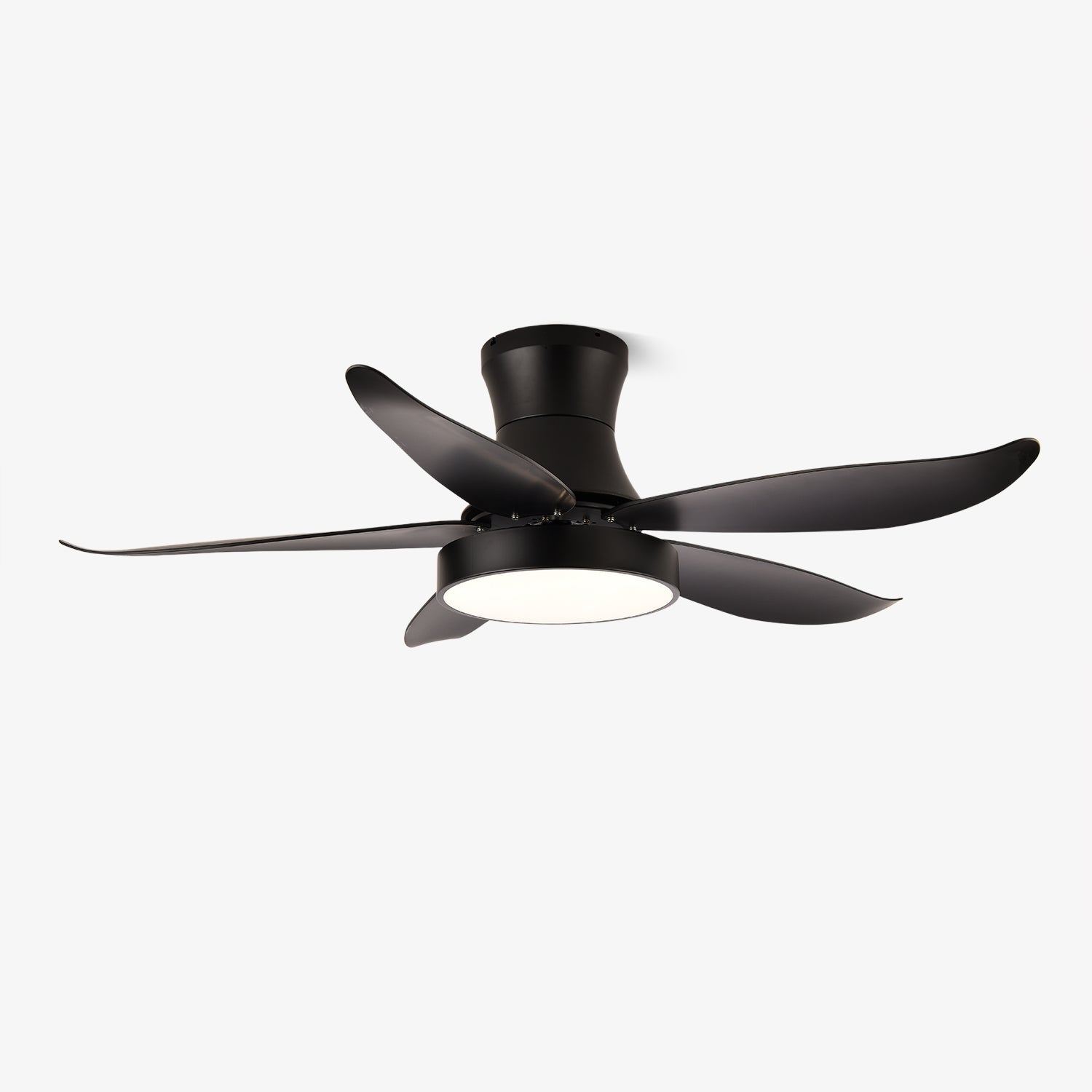 Aveline Modern Black Ceiling Fan Light - Blowlighting