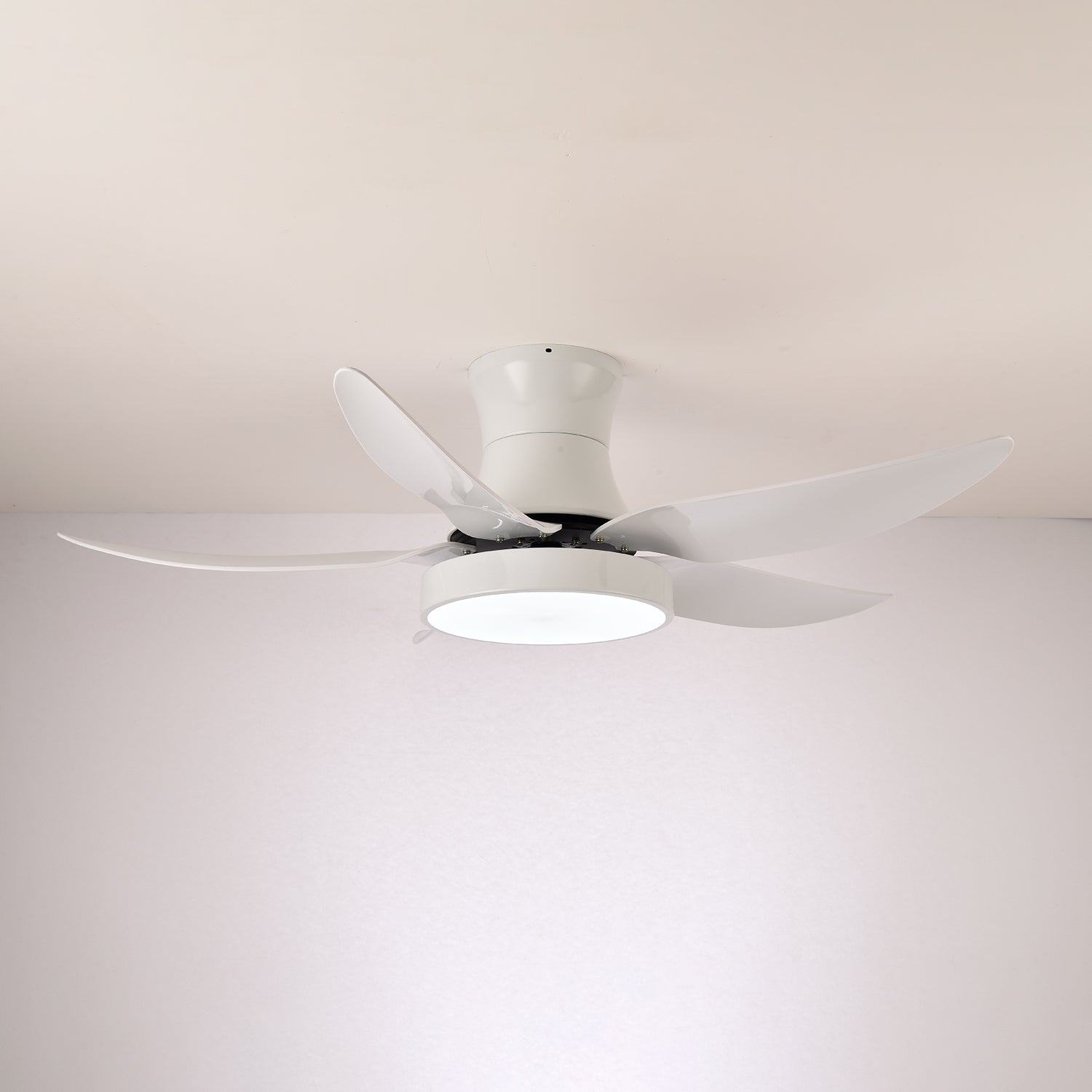 Aveline Modern Black Ceiling Fan Light - Blowlighting