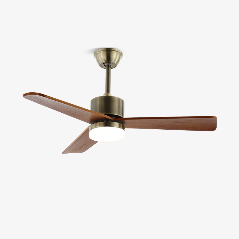 Elara Minimalist Silver Wood Ceiling Fan Light - Blowlighting