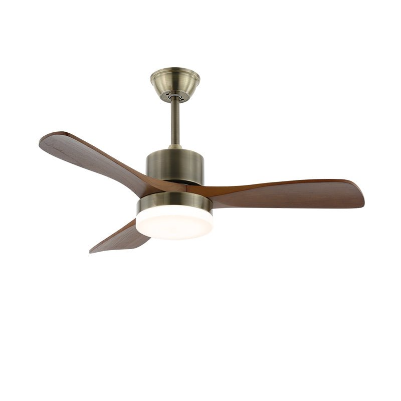 Elara Minimalist Silver Wood Ceiling Fan Light - Blowlighting