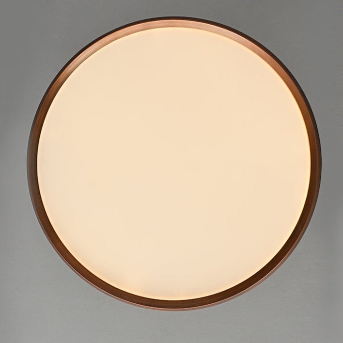 Lumen Modern Acrylic Ceiling Lamp - Blowlighting
