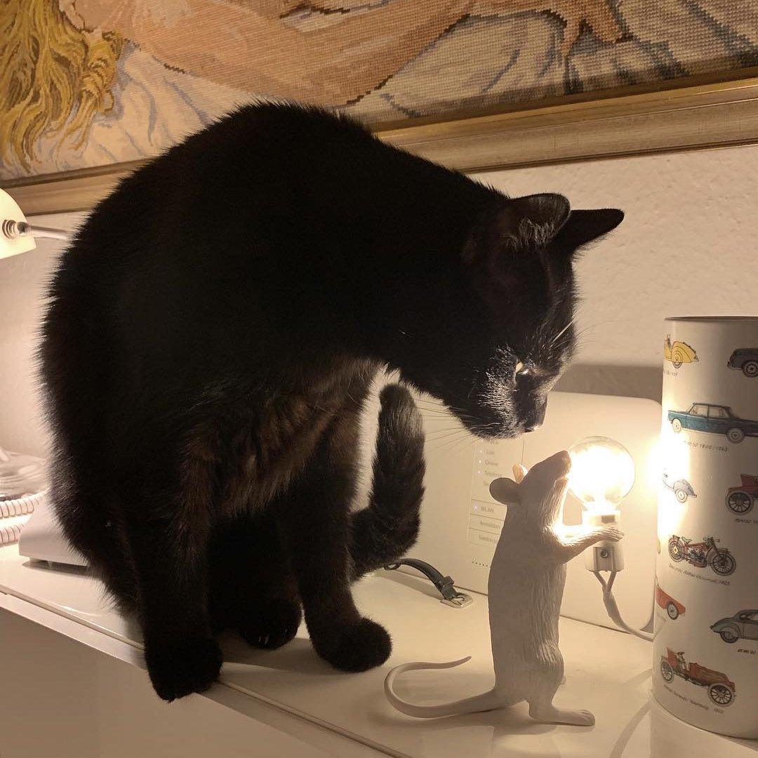 Mouse Table Light - Blowlighting