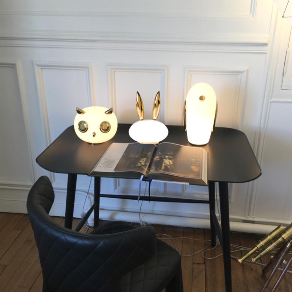 Pet Desk Light - Blowlighting